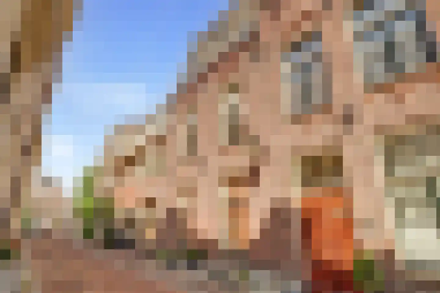 Herenstraat 8 Utrecht thumbnail 5