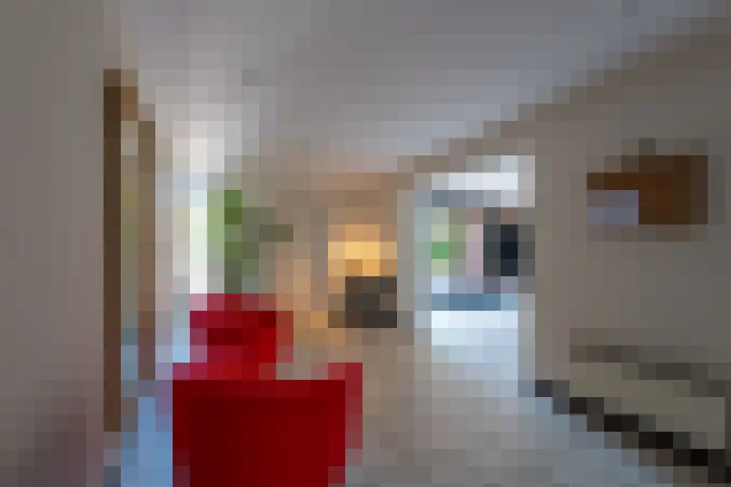 Herenstraat 80 Bussum thumbnail 11