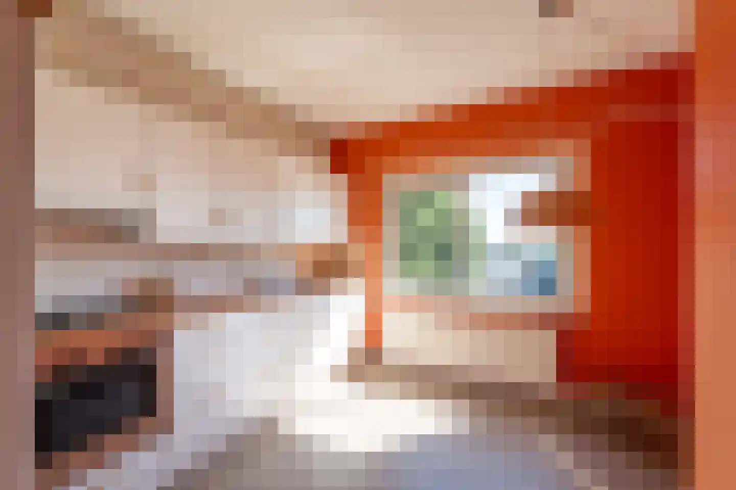 Herenstraat 80 Bussum thumbnail 23