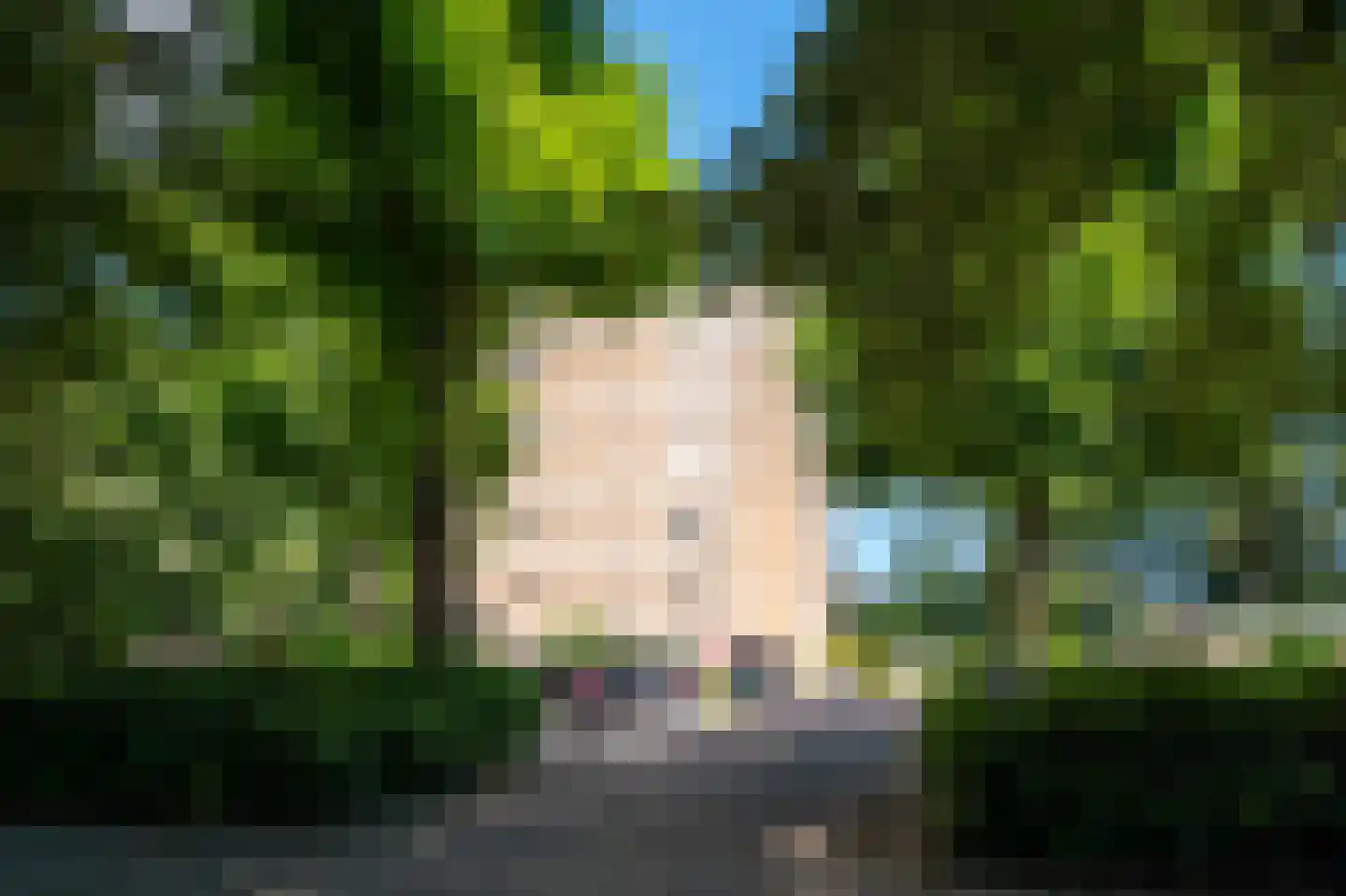 Herenstraat 80 Bussum thumbnail 7