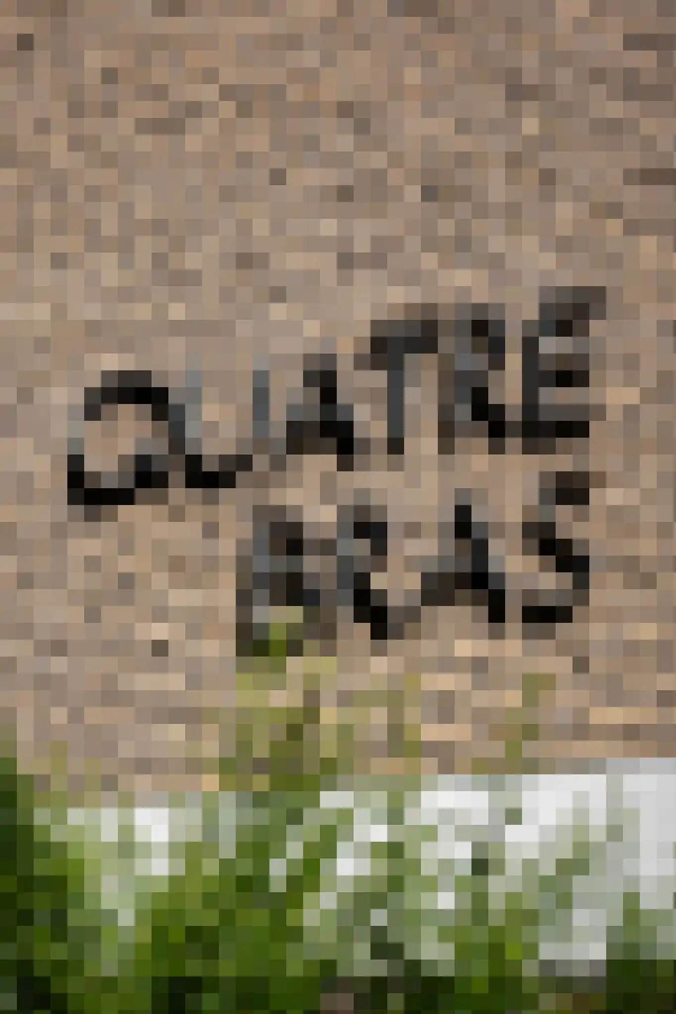 Herenstraat 80 Bussum thumbnail 9