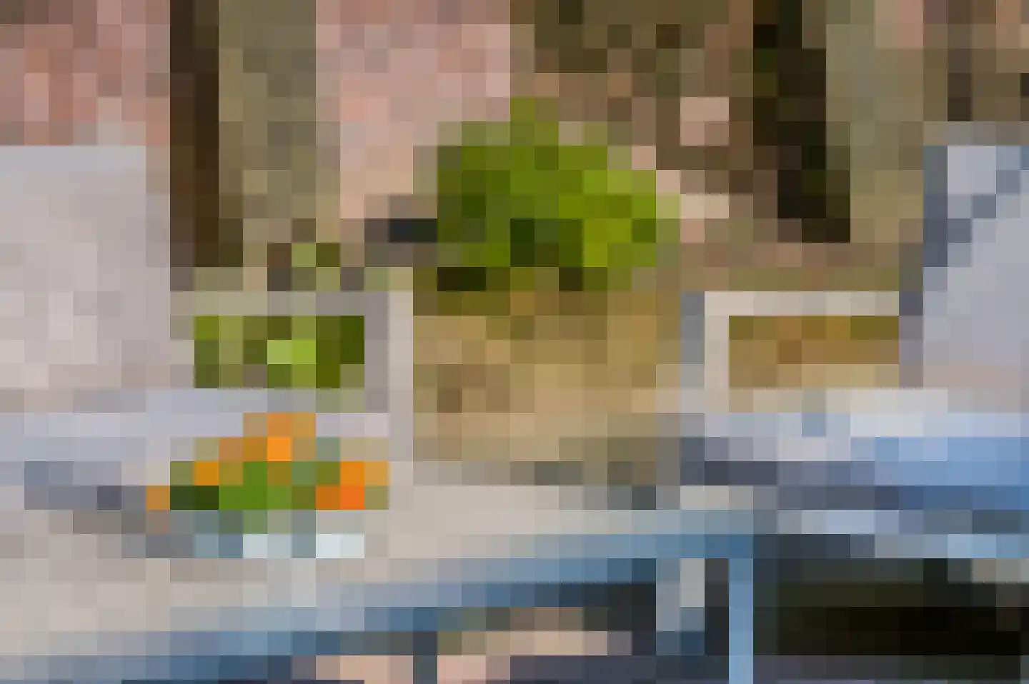 Herenstraat 87 Rhenen thumbnail 32