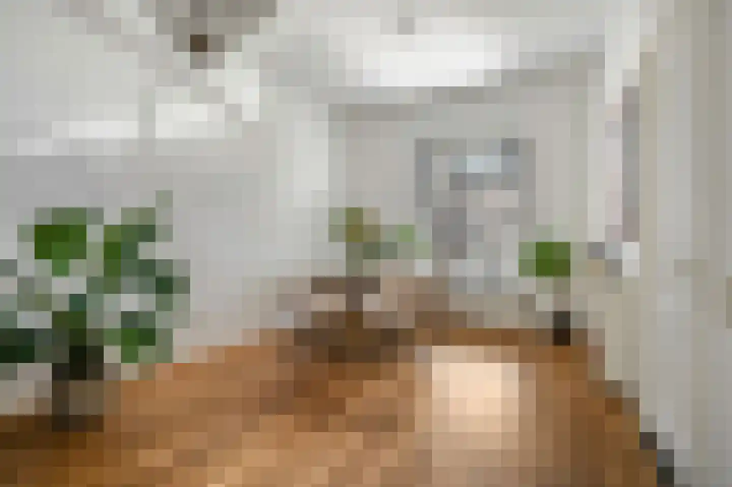 Herenstraat 87 Rhenen thumbnail 7