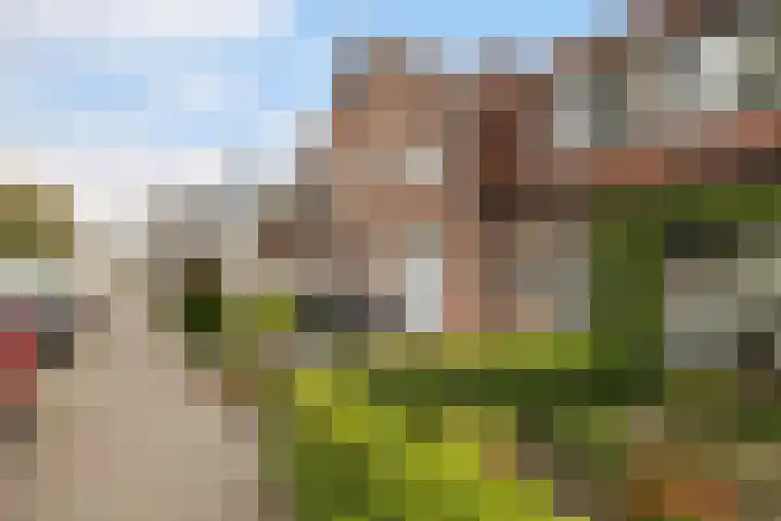 Herenstraat 95 Nieuwegein thumbnail 4