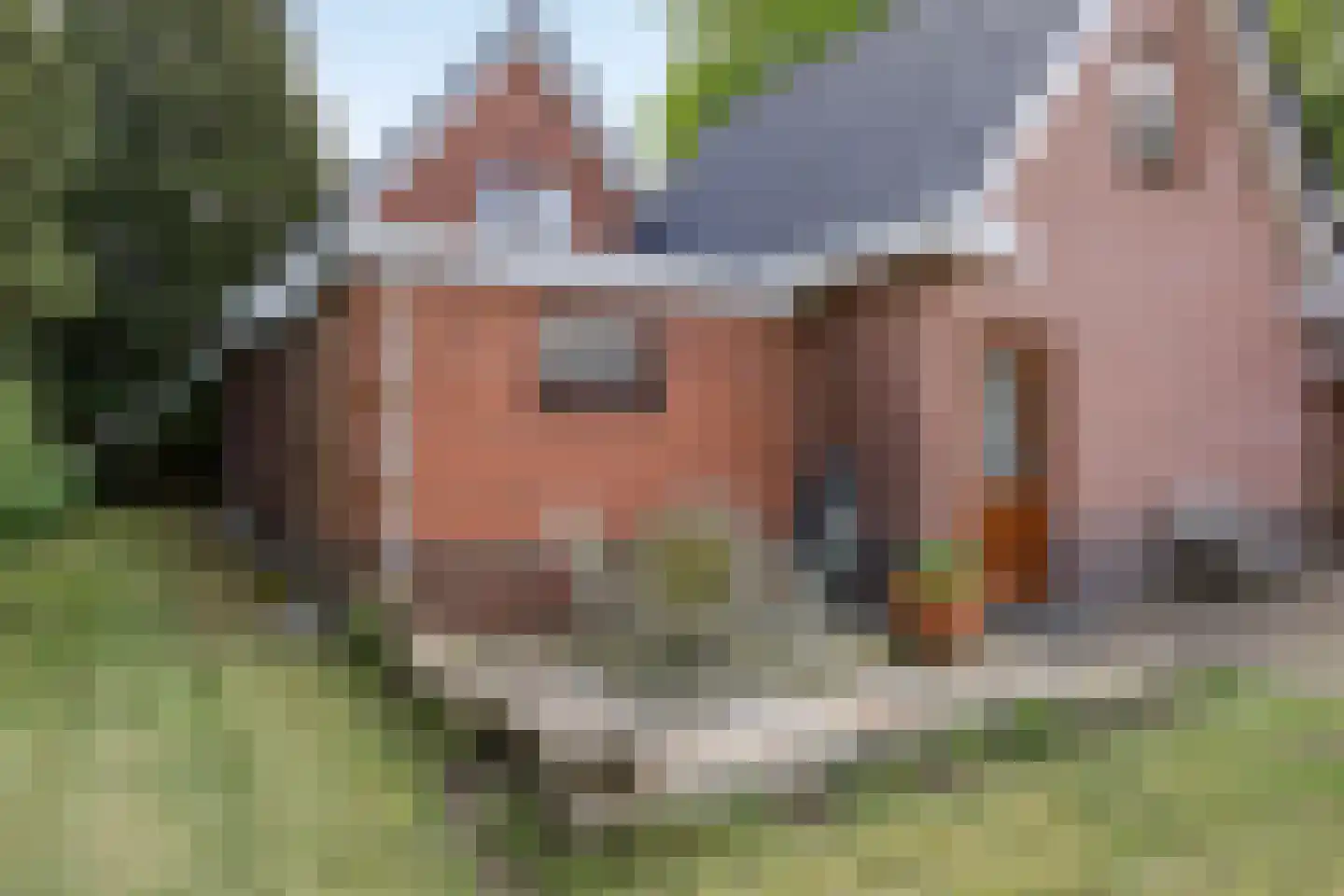 Herenstreek 10 Nieuw-Dordrecht thumbnail 21