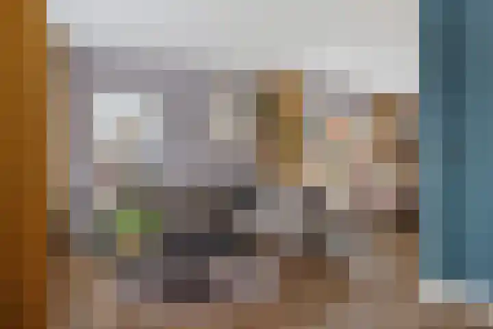 Herenstreek 2 Nieuw-Dordrecht thumbnail 16