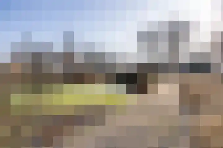 Herenstreek 2 Nieuw-Dordrecht thumbnail 4