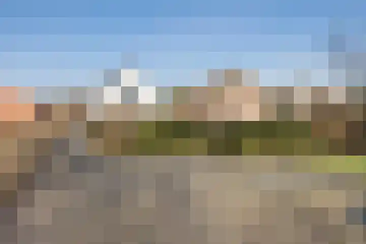 Herenstreek 2 Nieuw-Dordrecht thumbnail 43