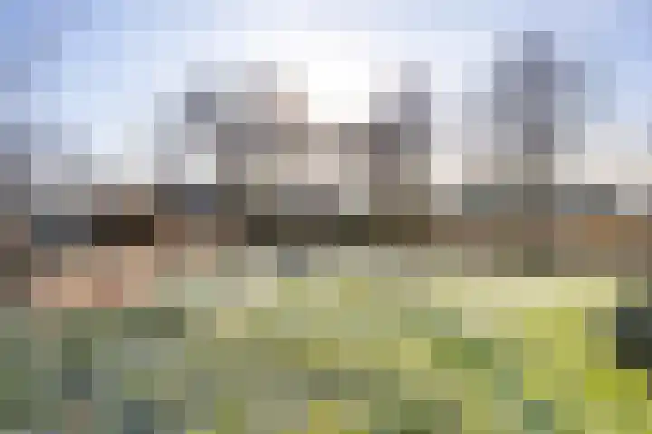 Herenstreek 2 Nieuw-Dordrecht thumbnail 6