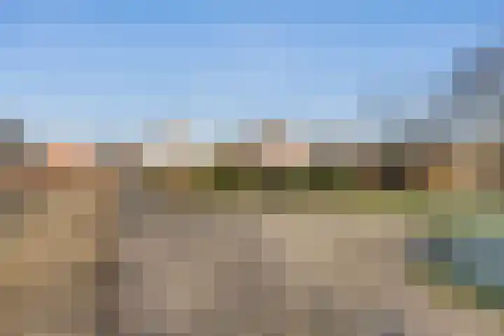 Herenstreek 2 Nieuw-Dordrecht thumbnail 7