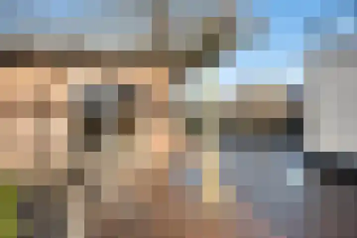 Herenstreek 2 Nieuw-Dordrecht thumbnail 9