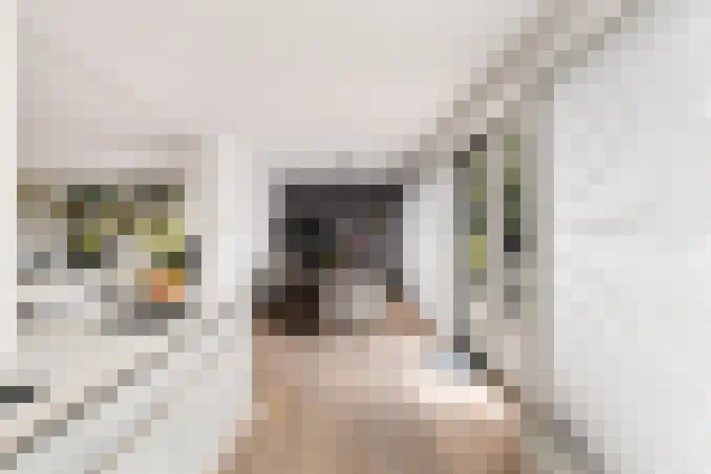 Herentalsstraat 1 IJsselstein thumbnail 17
