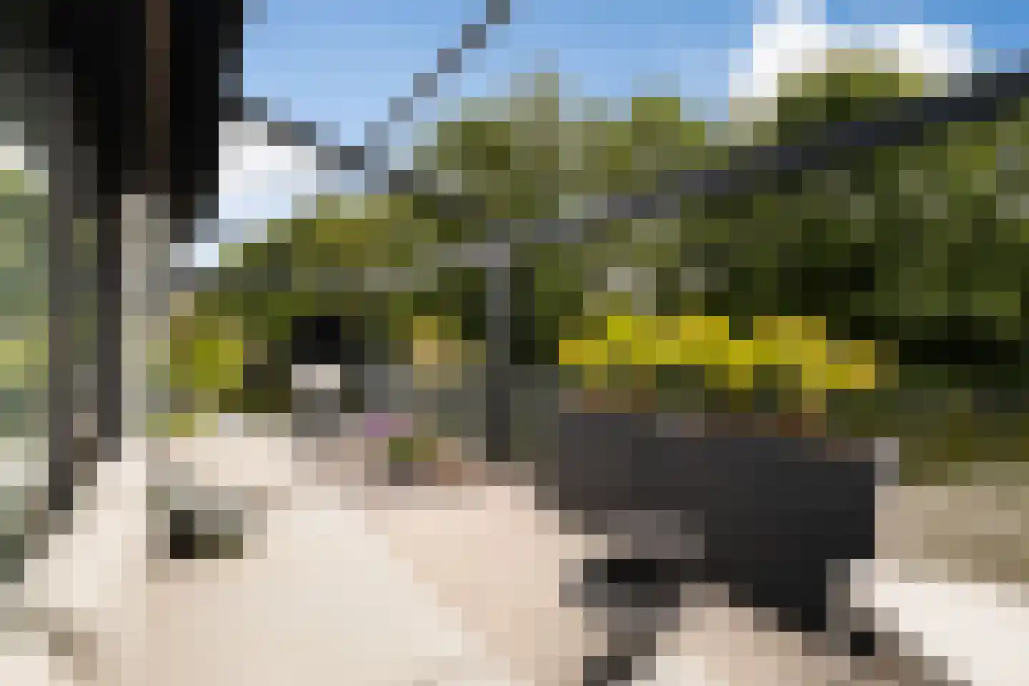 Herentalsstraat 1 IJsselstein thumbnail 27