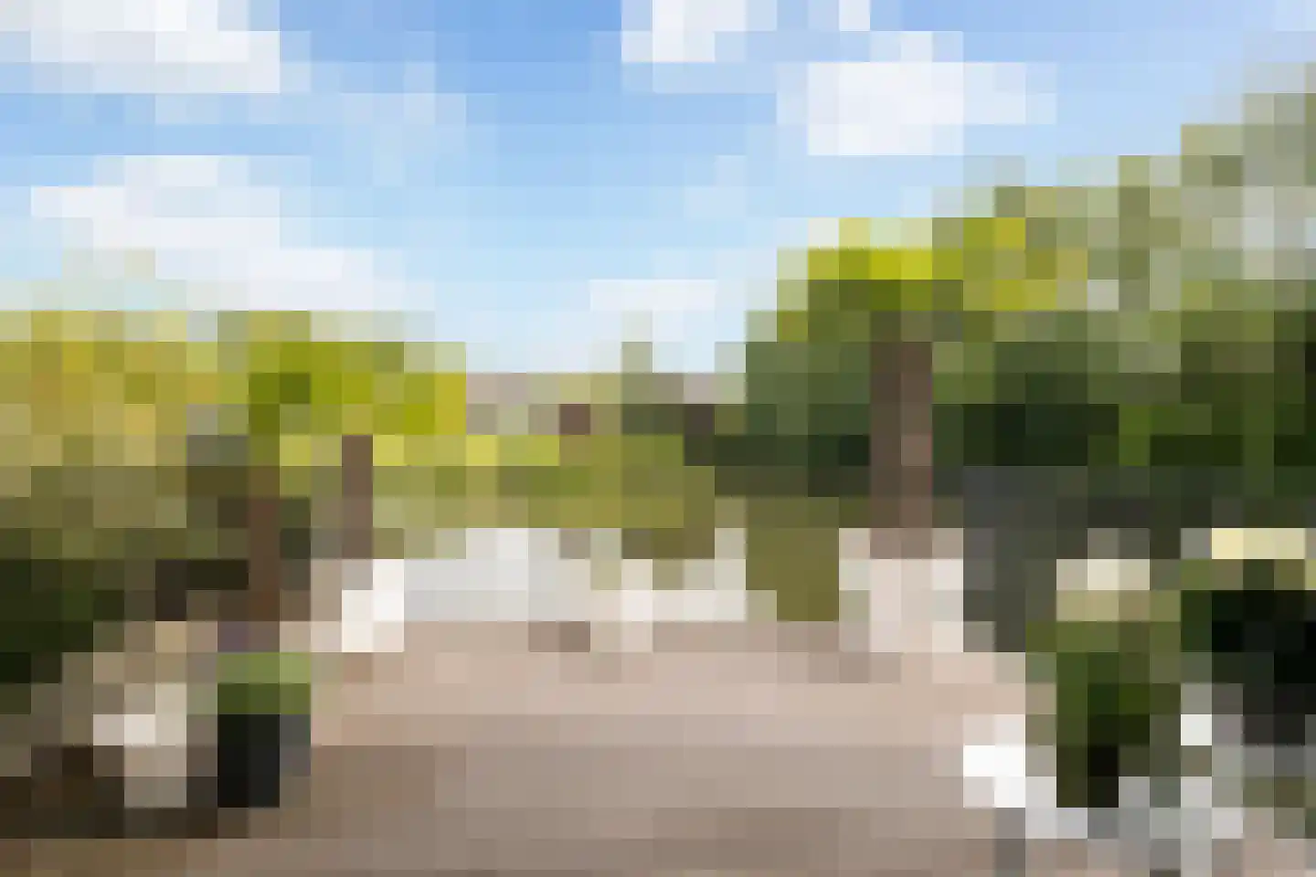 Herentalsstraat 1 IJsselstein thumbnail 29