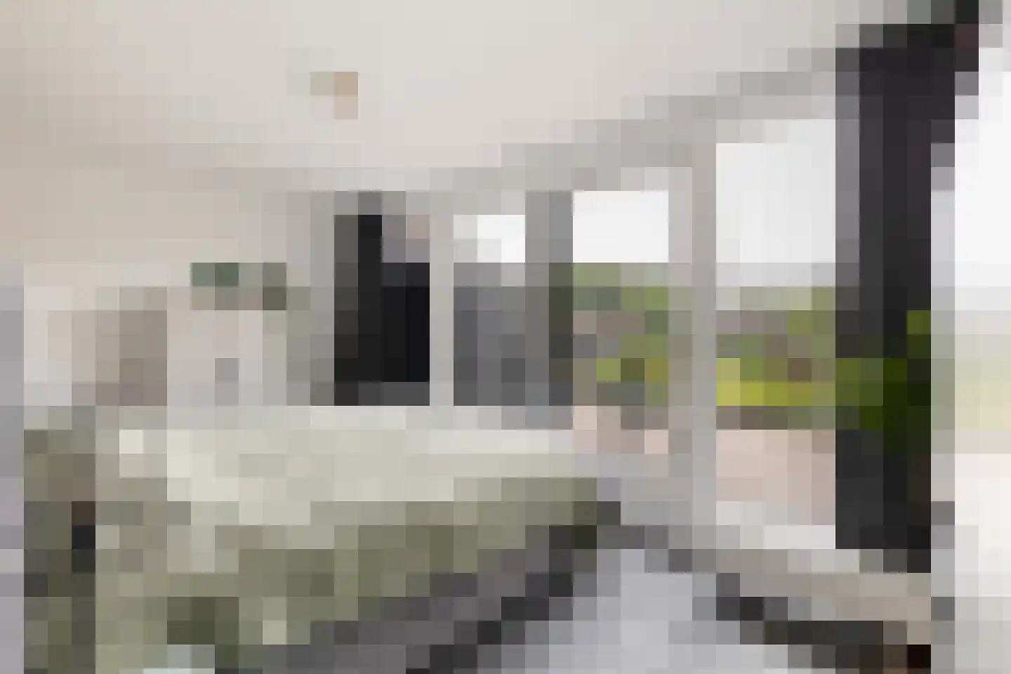 Herentalsstraat 1 IJsselstein thumbnail 4
