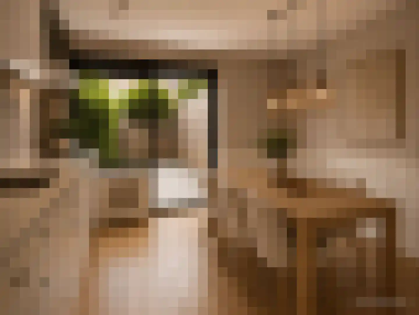 Herentalsstraat 104 Amsterdam thumbnail 10