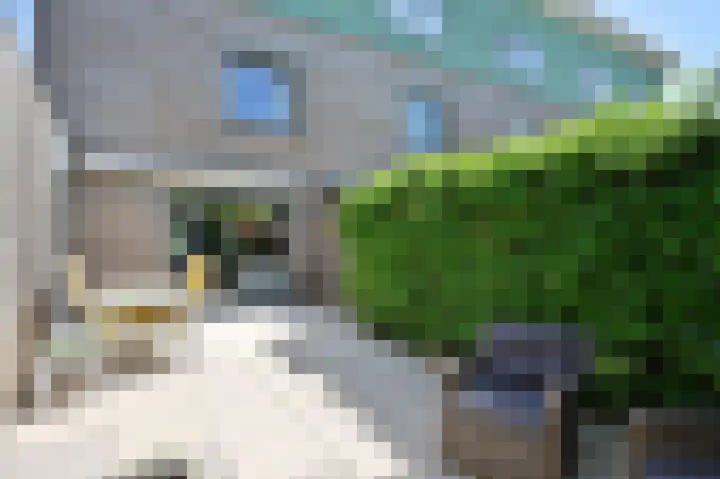 Herentalsstraat 104 Amsterdam thumbnail 30