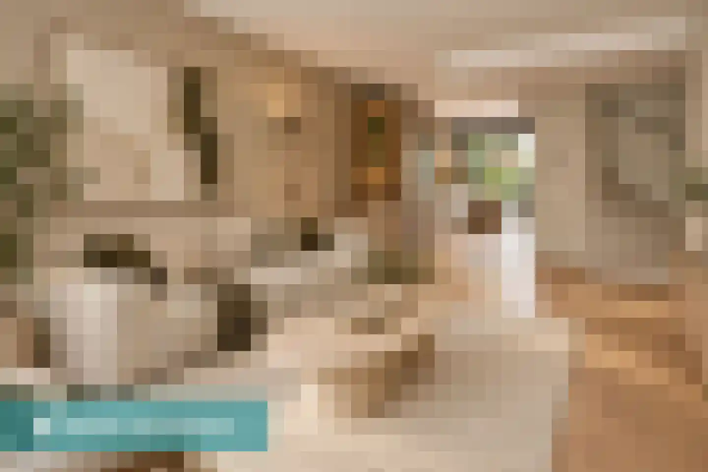 Herentalsstraat 104 Amsterdam thumbnail 4