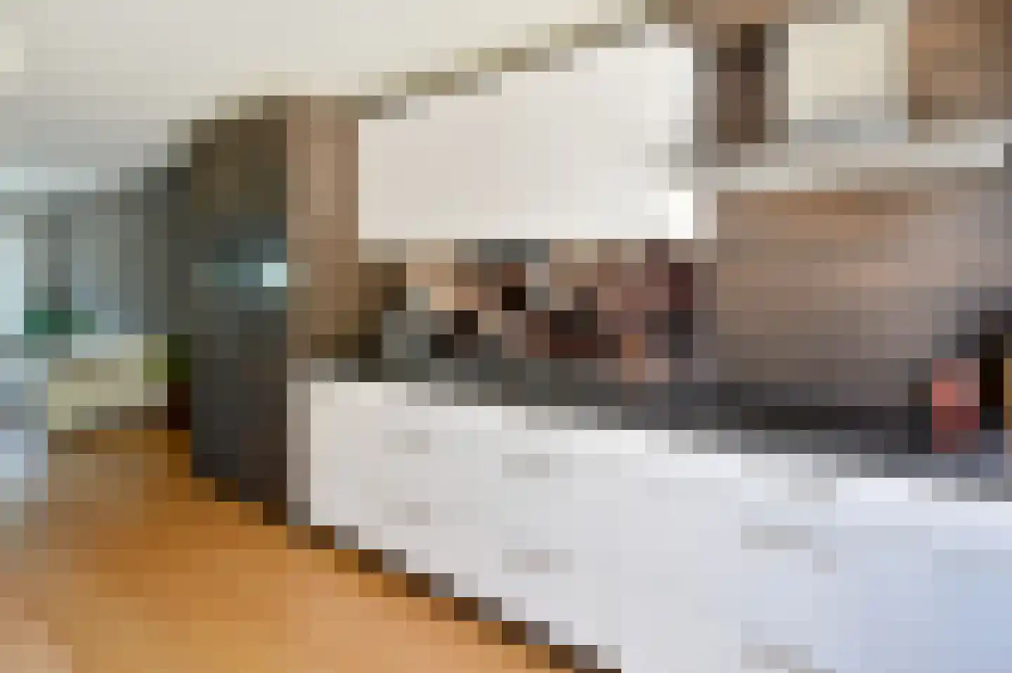 Herentalsstraat 104 Amsterdam thumbnail 5