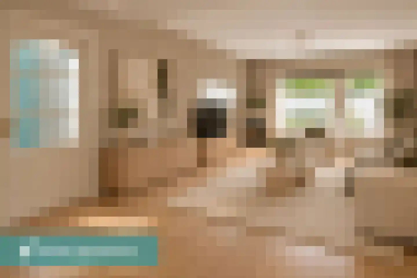Herentalsstraat 104 Amsterdam thumbnail 7