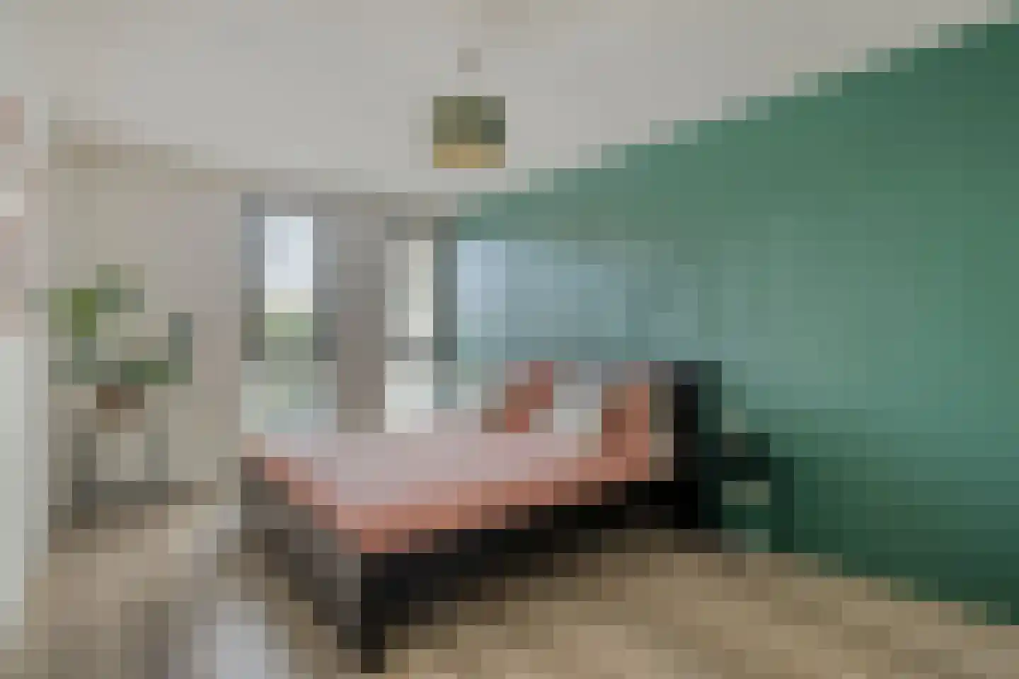 Herentalsstraat 4 IJsselstein thumbnail 23