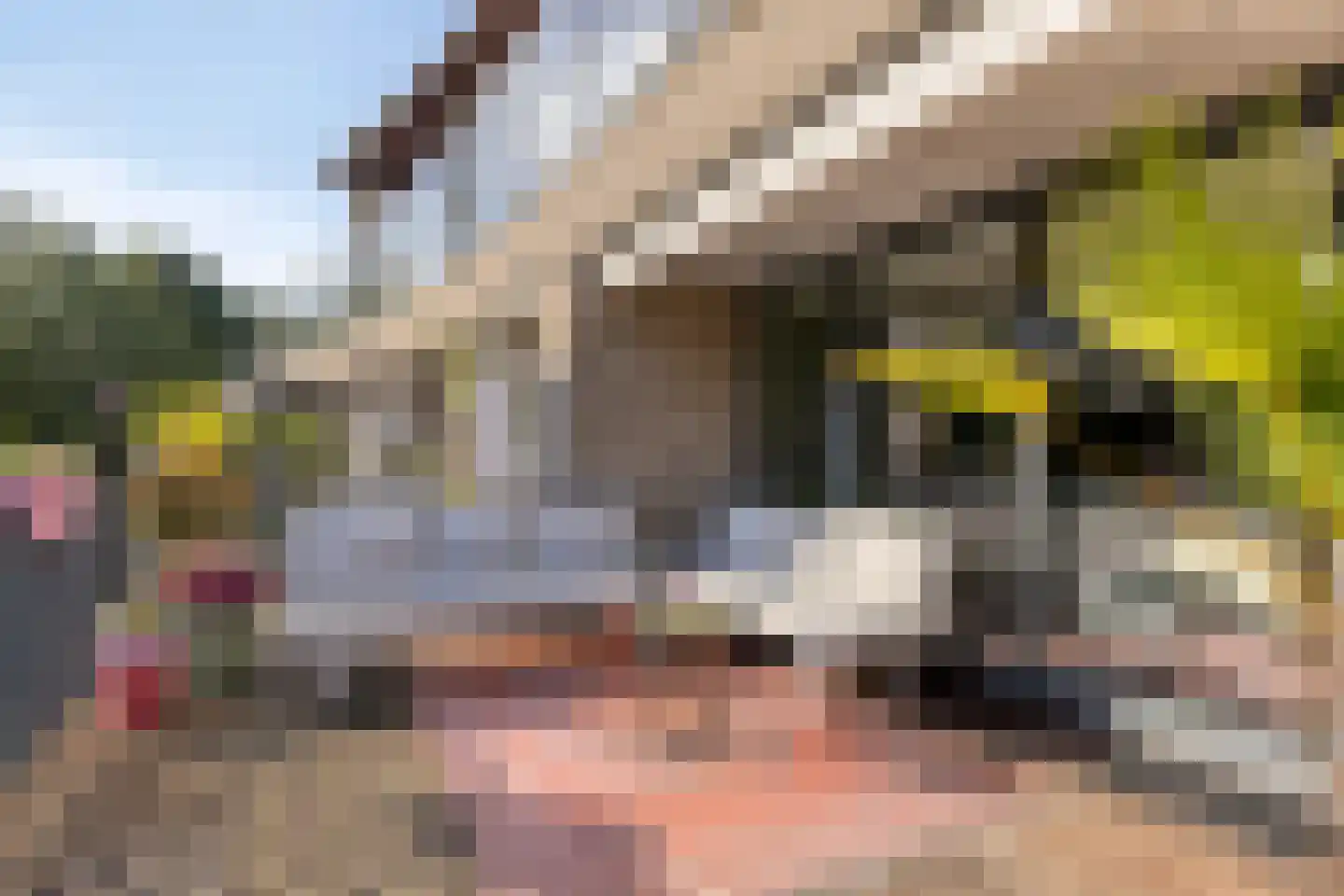 Herentalsstraat 4 IJsselstein thumbnail 35
