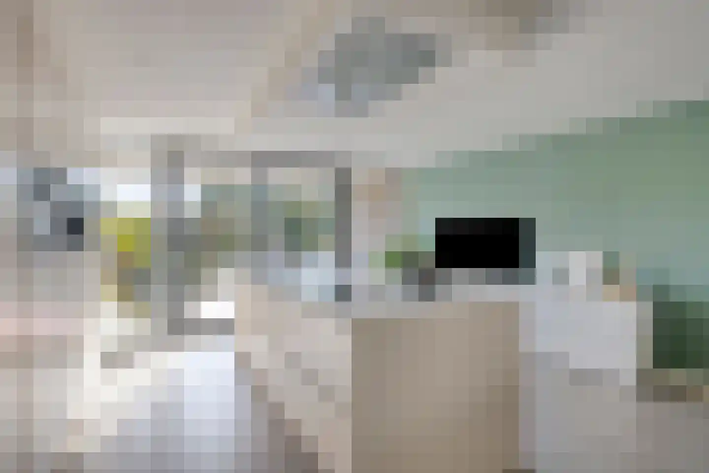 Herentalsstraat 4 IJsselstein thumbnail 5