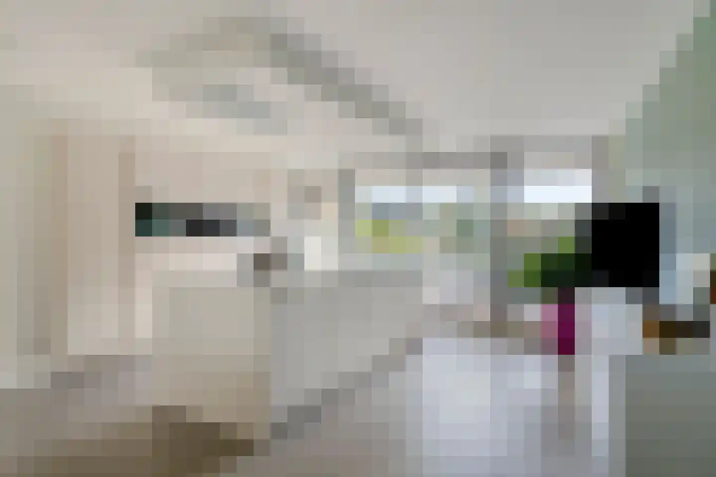Herentalsstraat 4 IJsselstein thumbnail 8