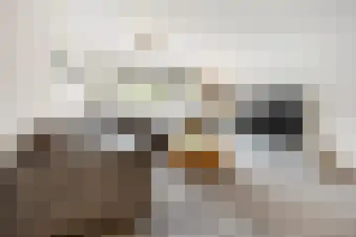 Herentalsstraat 60 Amsterdam thumbnail 12