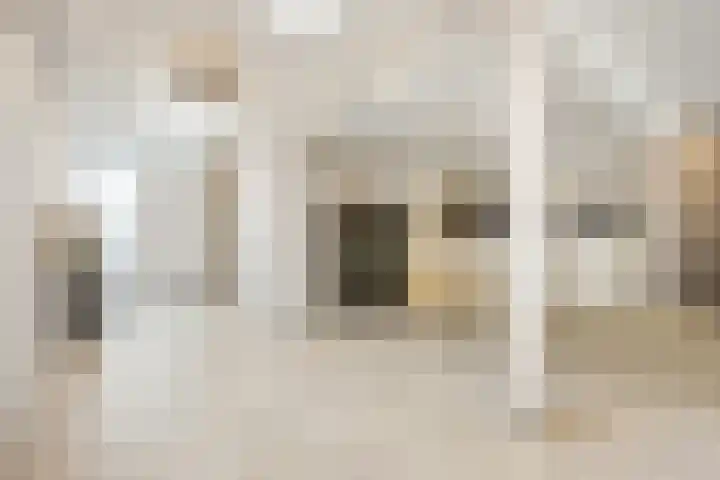 Herentalsstraat 60 Amsterdam thumbnail 8