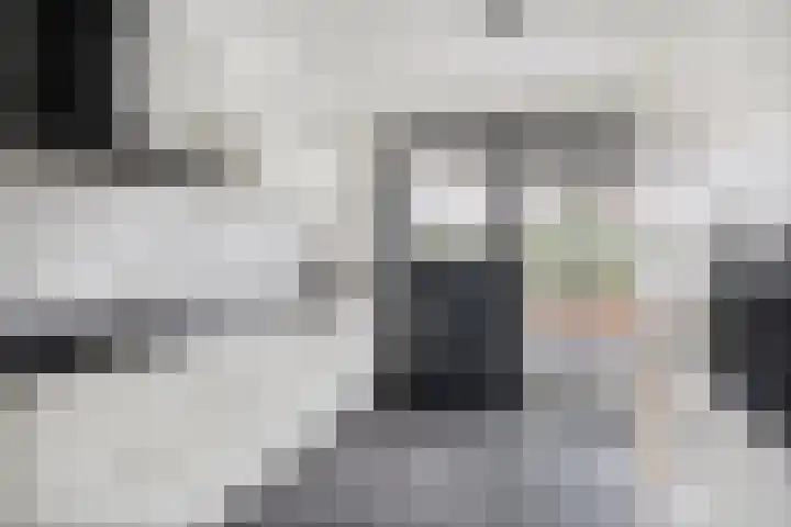 Herenveldweg 10 't Harde thumbnail 15