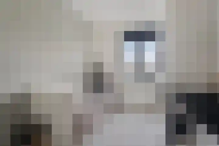 Herenveldweg 10 't Harde thumbnail 23
