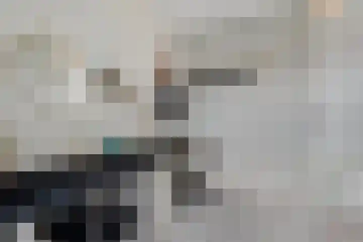 Herenveldweg 10 't Harde thumbnail 24