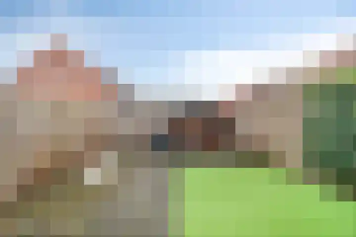 Herenveldweg 10 't Harde thumbnail 29