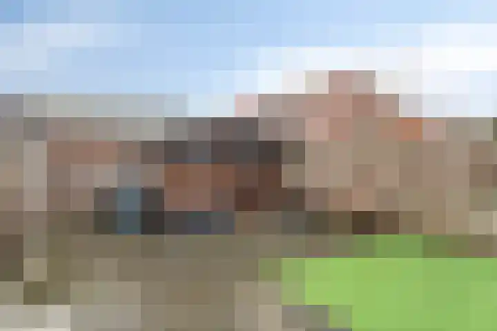 Herenveldweg 10 't Harde thumbnail 30