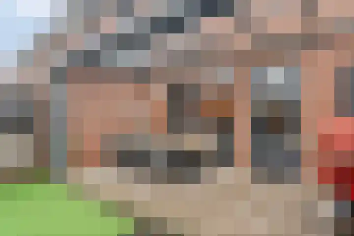 Herenveldweg 10 't Harde thumbnail 31