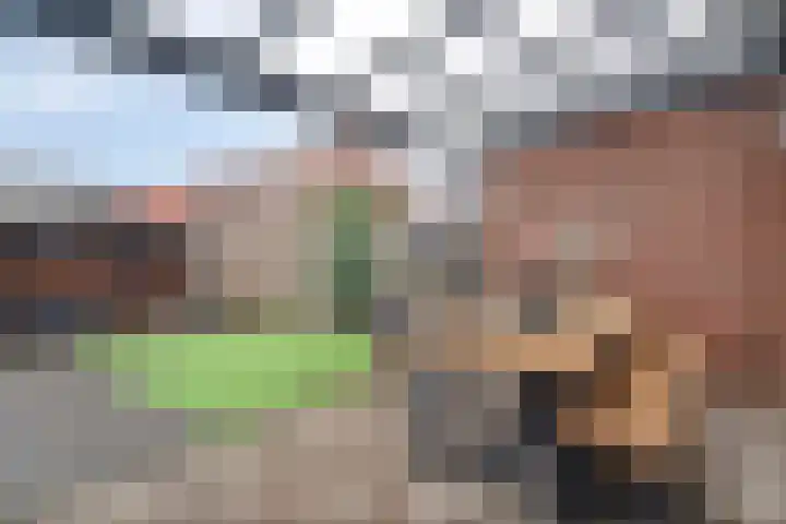 Herenveldweg 10 't Harde thumbnail 32