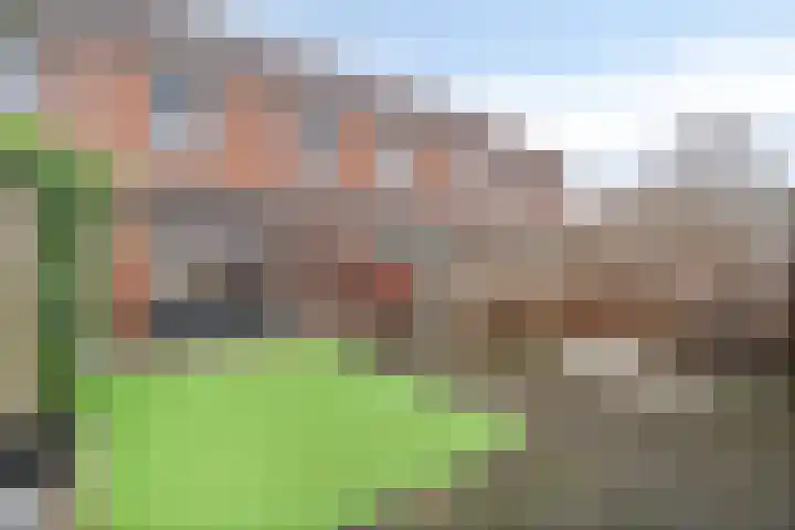 Herenveldweg 10 't Harde thumbnail 33