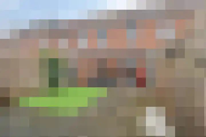 Herenveldweg 10 't Harde thumbnail 34