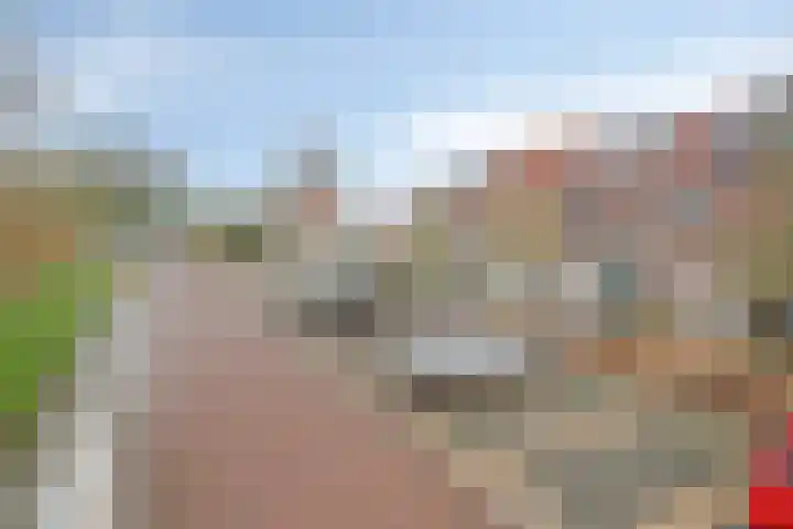Herenveldweg 10 't Harde thumbnail 36