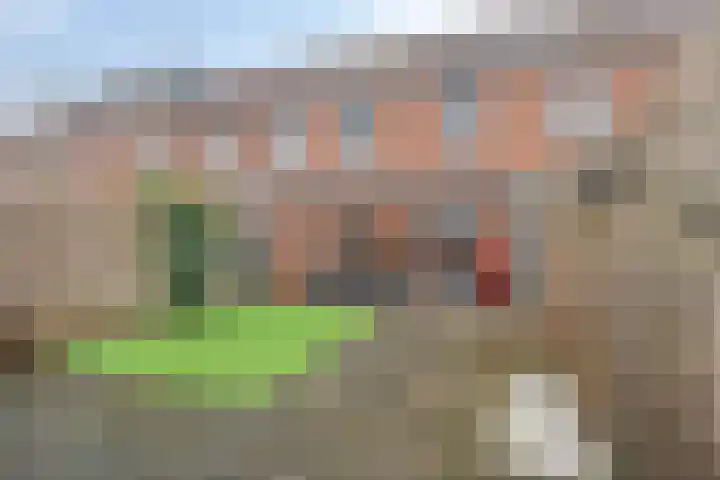 Herenveldweg 10 't Harde thumbnail 4