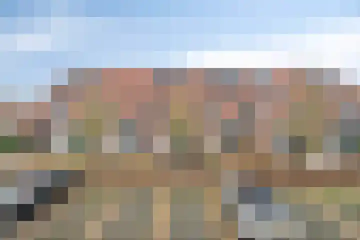 Herenveldweg 10 't Harde thumbnail 5