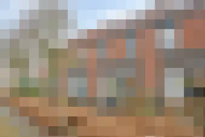 Herenveldweg 10 't Harde thumbnail 6