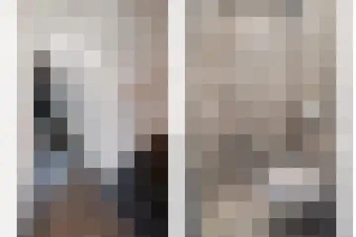 Herenveldweg 10 't Harde thumbnail 7