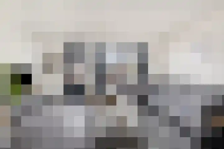 Herenveldweg 10 't Harde thumbnail 8