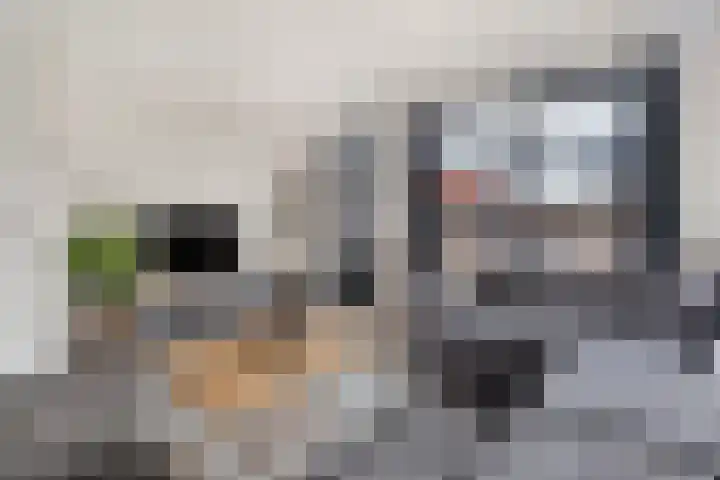 Herenveldweg 10 't Harde thumbnail 9