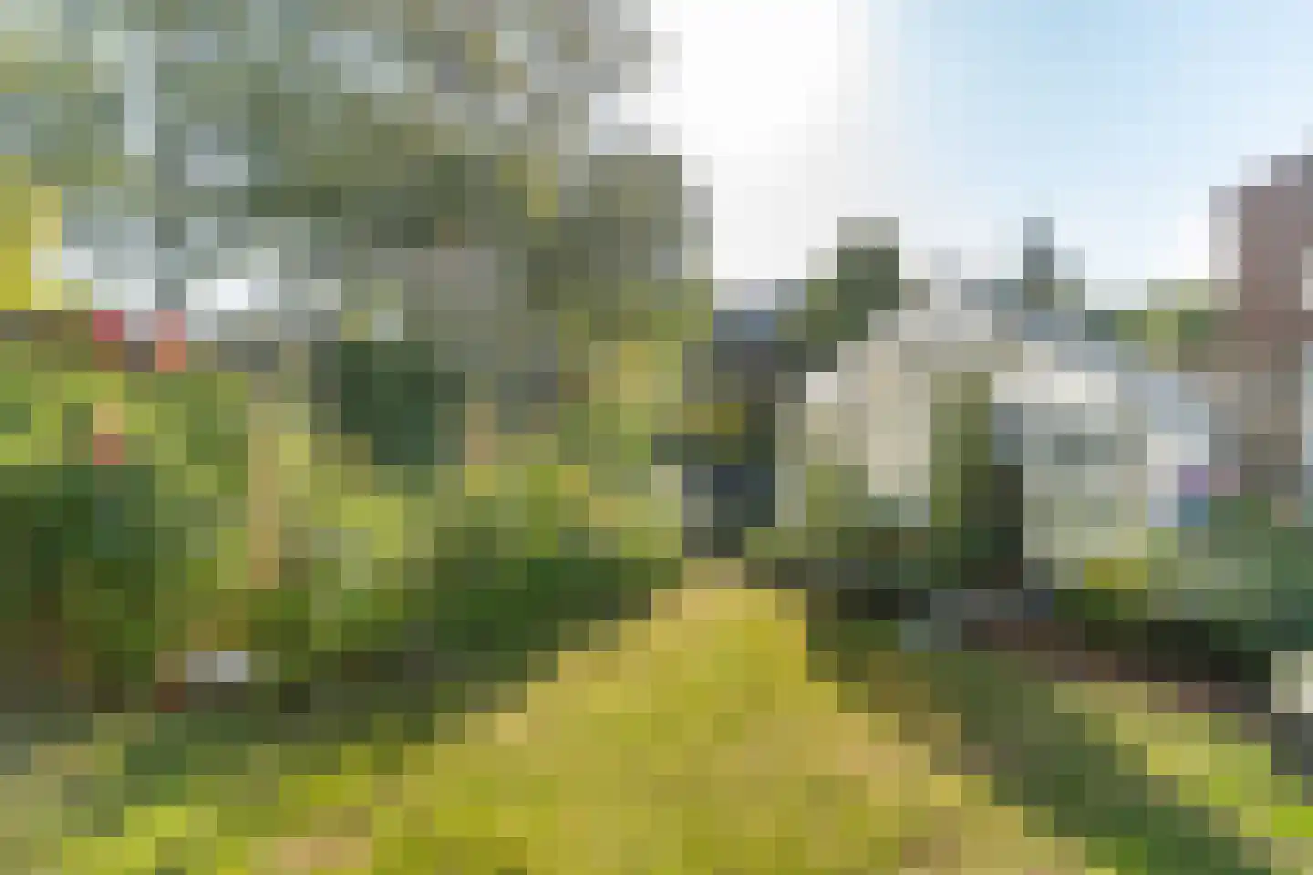 Herenveldweg 9 't Harde thumbnail 11