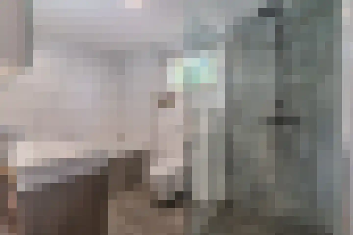 Herenveldweg 9 't Harde thumbnail 30
