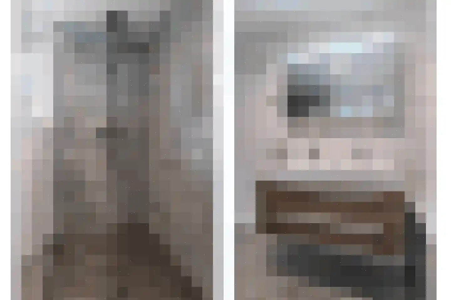Herenveldweg 9 't Harde thumbnail 32