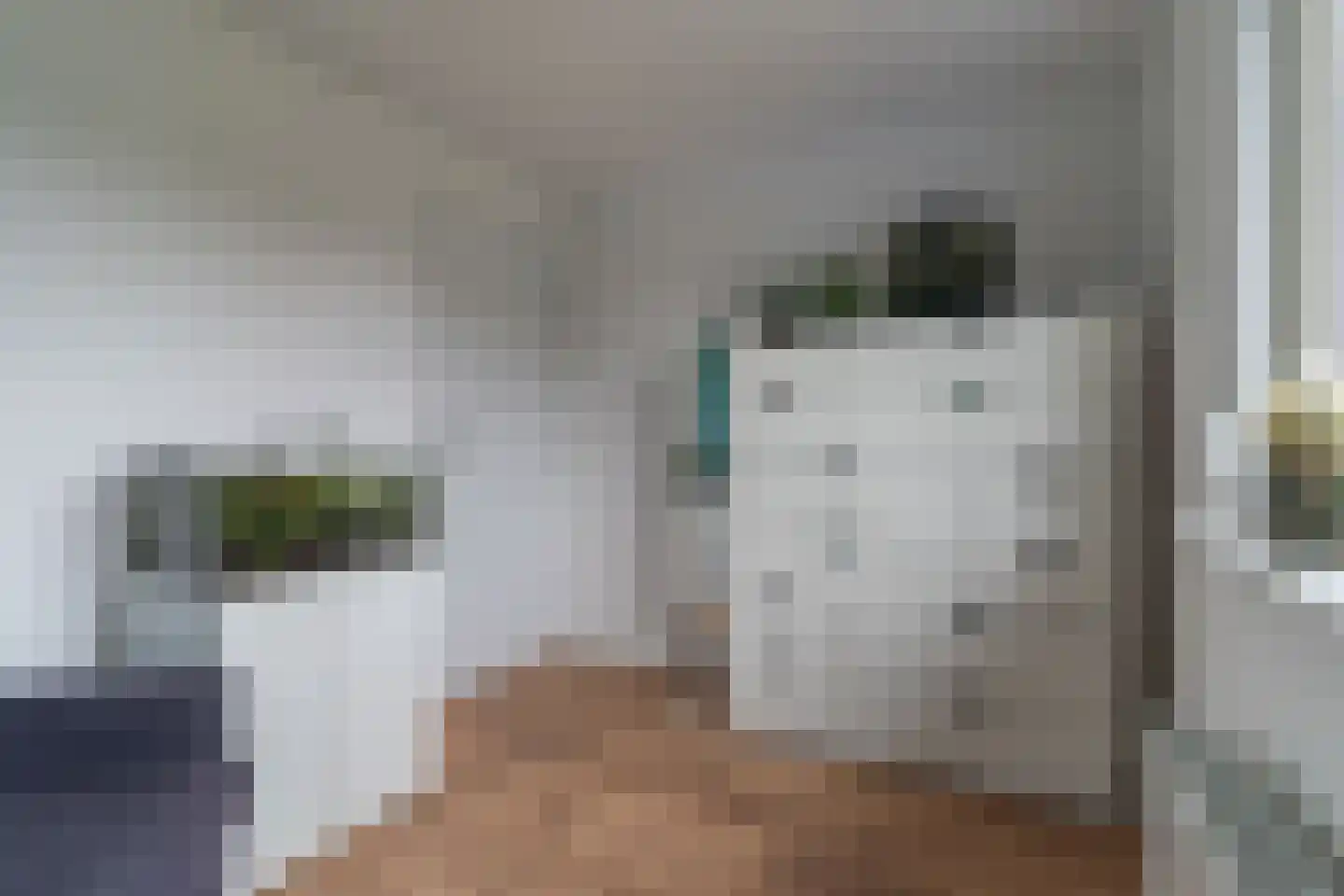 Herenveldweg 9 't Harde thumbnail 36
